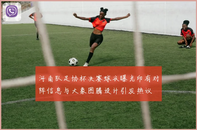 河南队足协杯决赛球衣曝光印有对阵信息与大象图腾设计引发热议