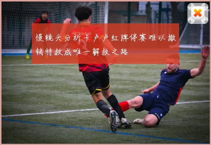 慢镜头分析卡卢卢红牌停赛难以撤销特赦成唯一解救之路