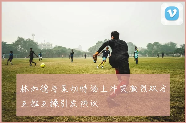 林加德与莱切特场上冲突激烈双方互推互搡引发热议