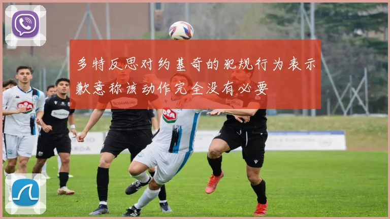 多特反思对约基奇的犯规行为表示歉意称该动作完全没有必要